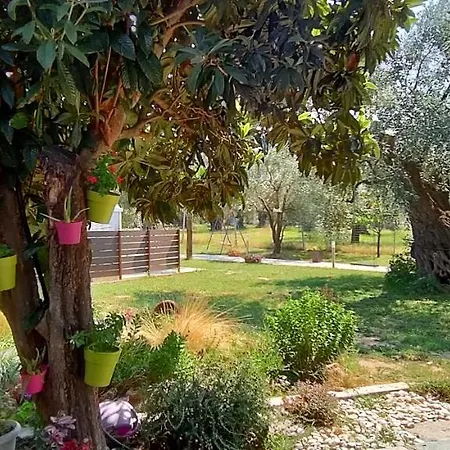 Chrisella * Skala Rachoni (Thasos)