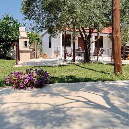 Chrisella * Szkála Rahoníu