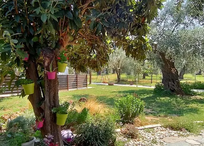 Chrisella * Skala Rachoni (Thasos)